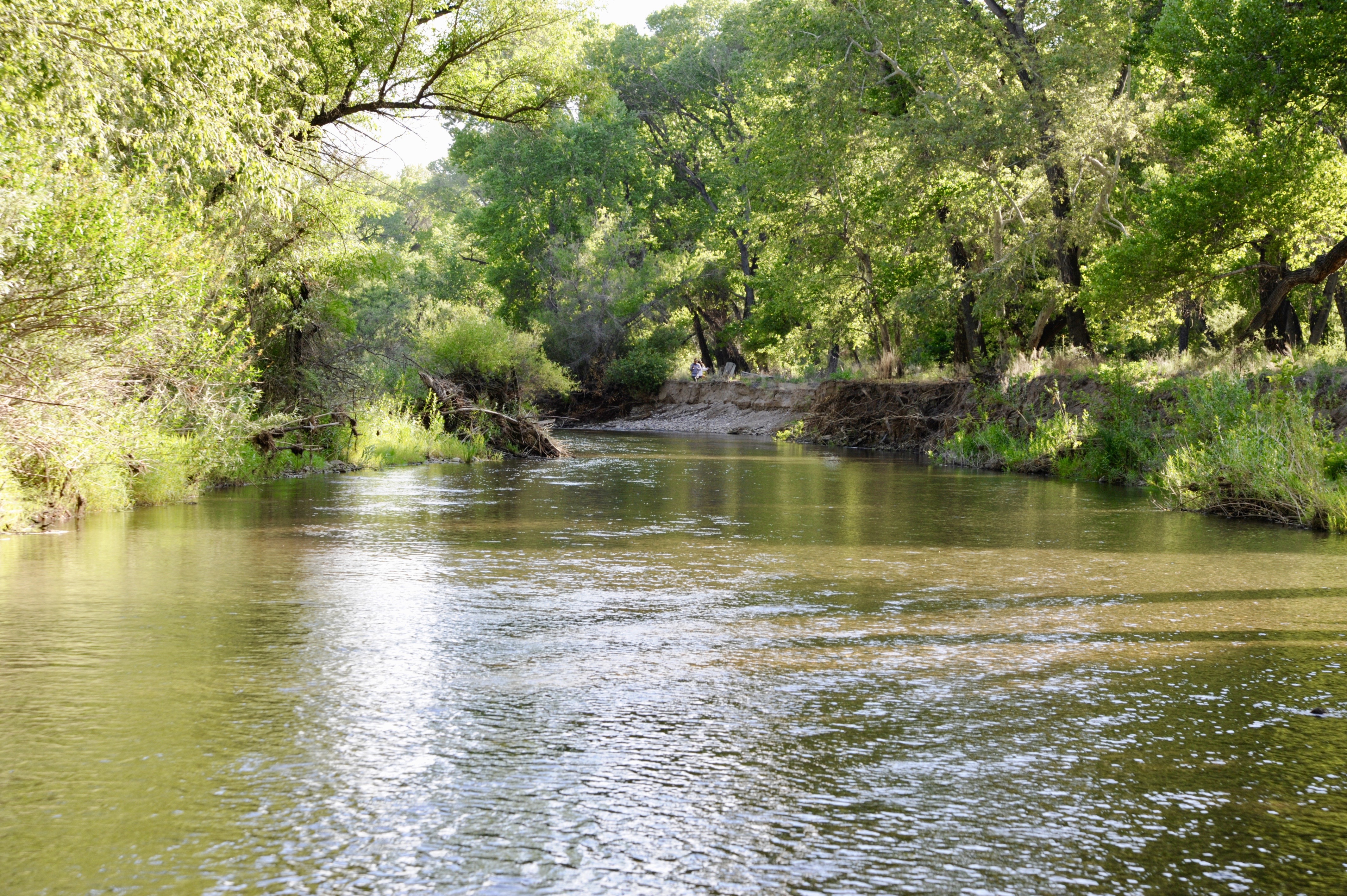 Gila diversion group refuses to terminate funding agreement