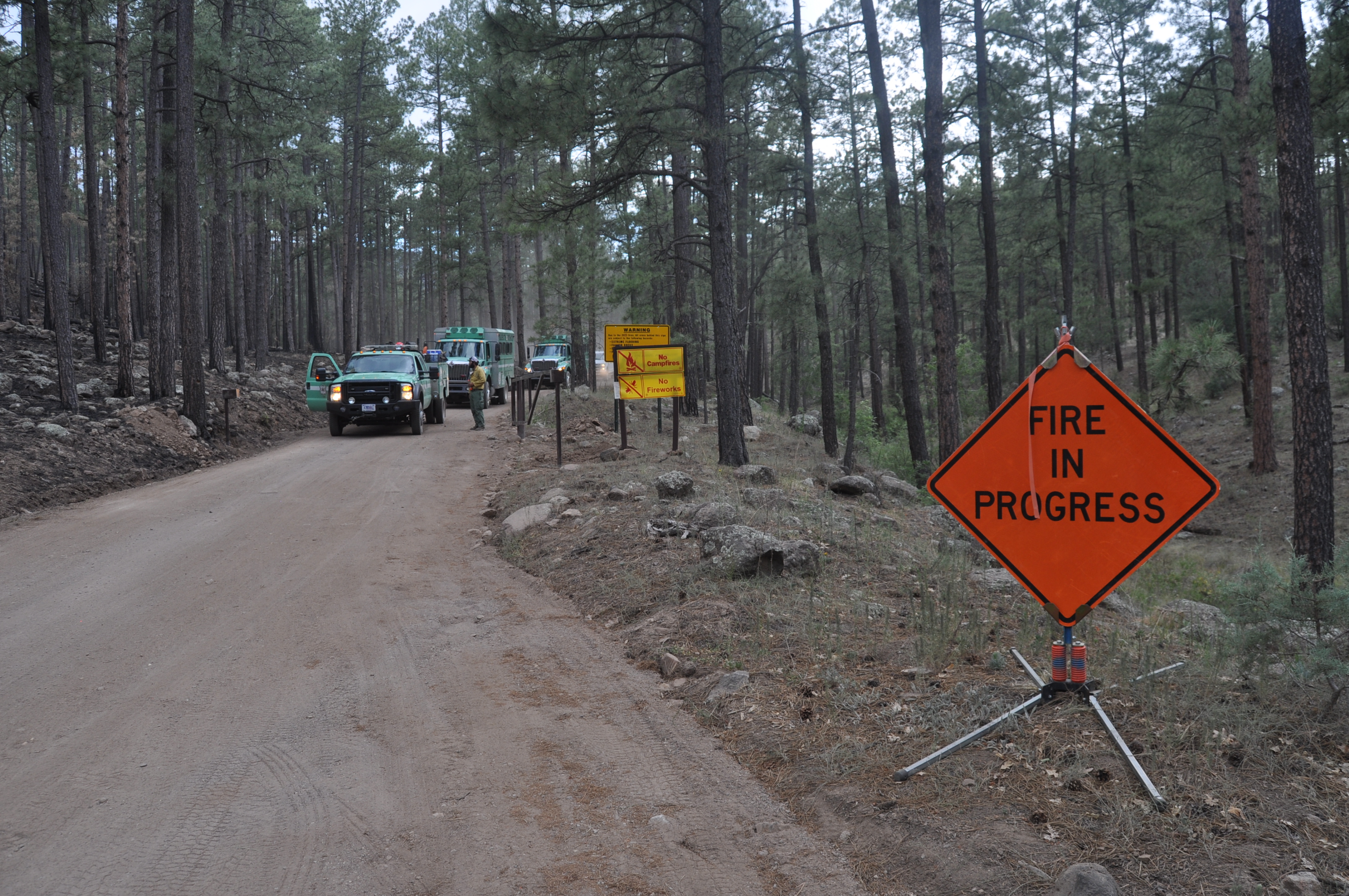 NM 15 reopens as USFS mops up after Tadpole Fire