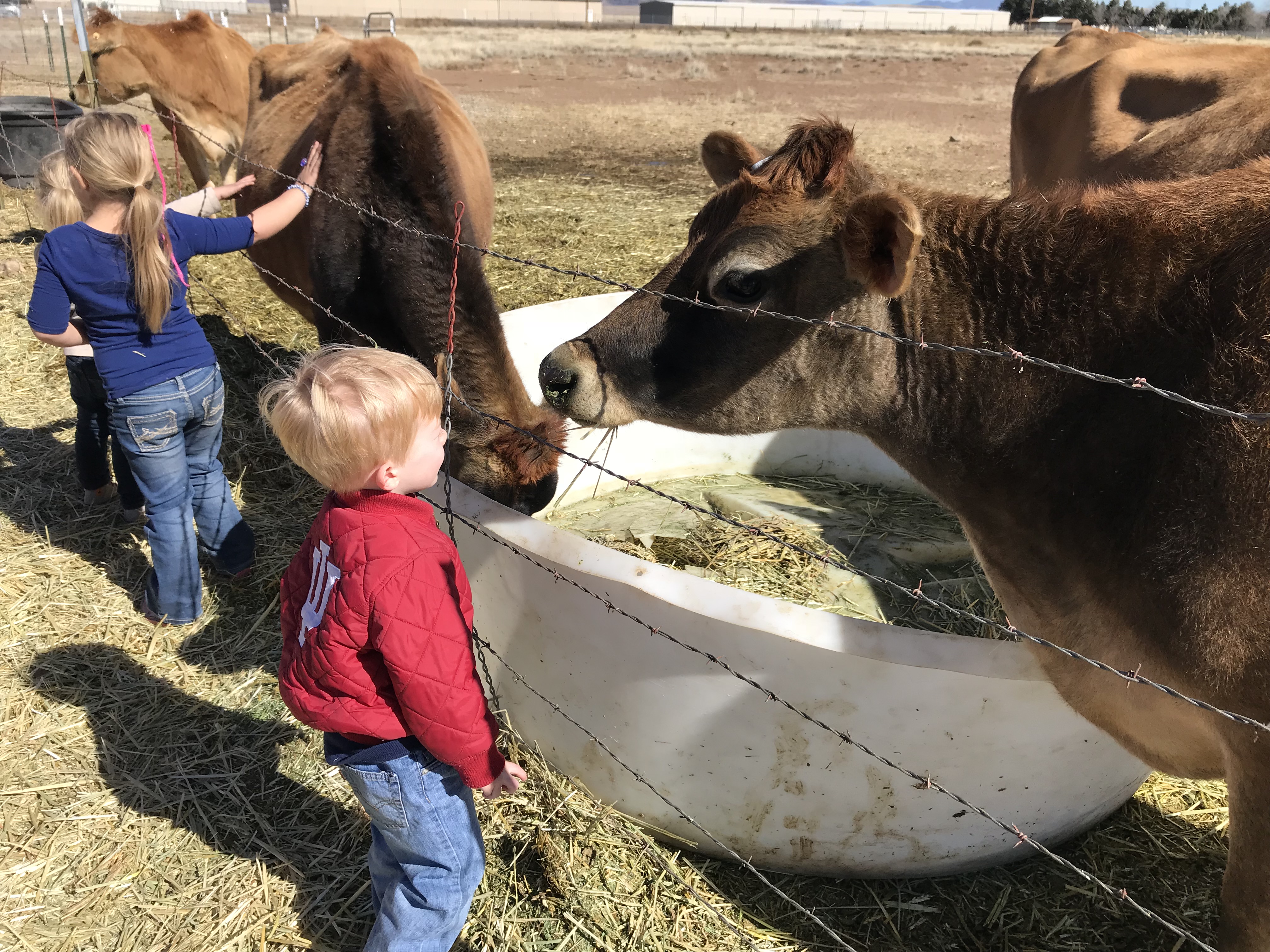 Raw milk dairy celebrates grand opening of farm store
