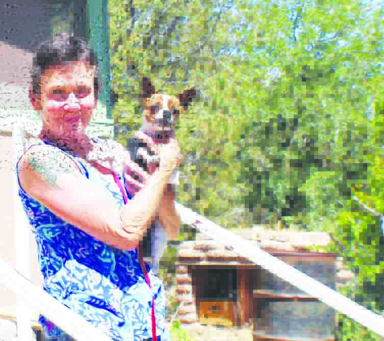 Dog’s big journey ends in reunion