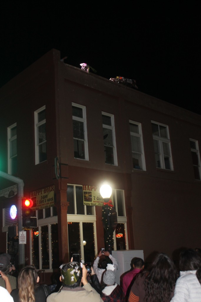 Mild to wild, area offers ways to ring in 2024