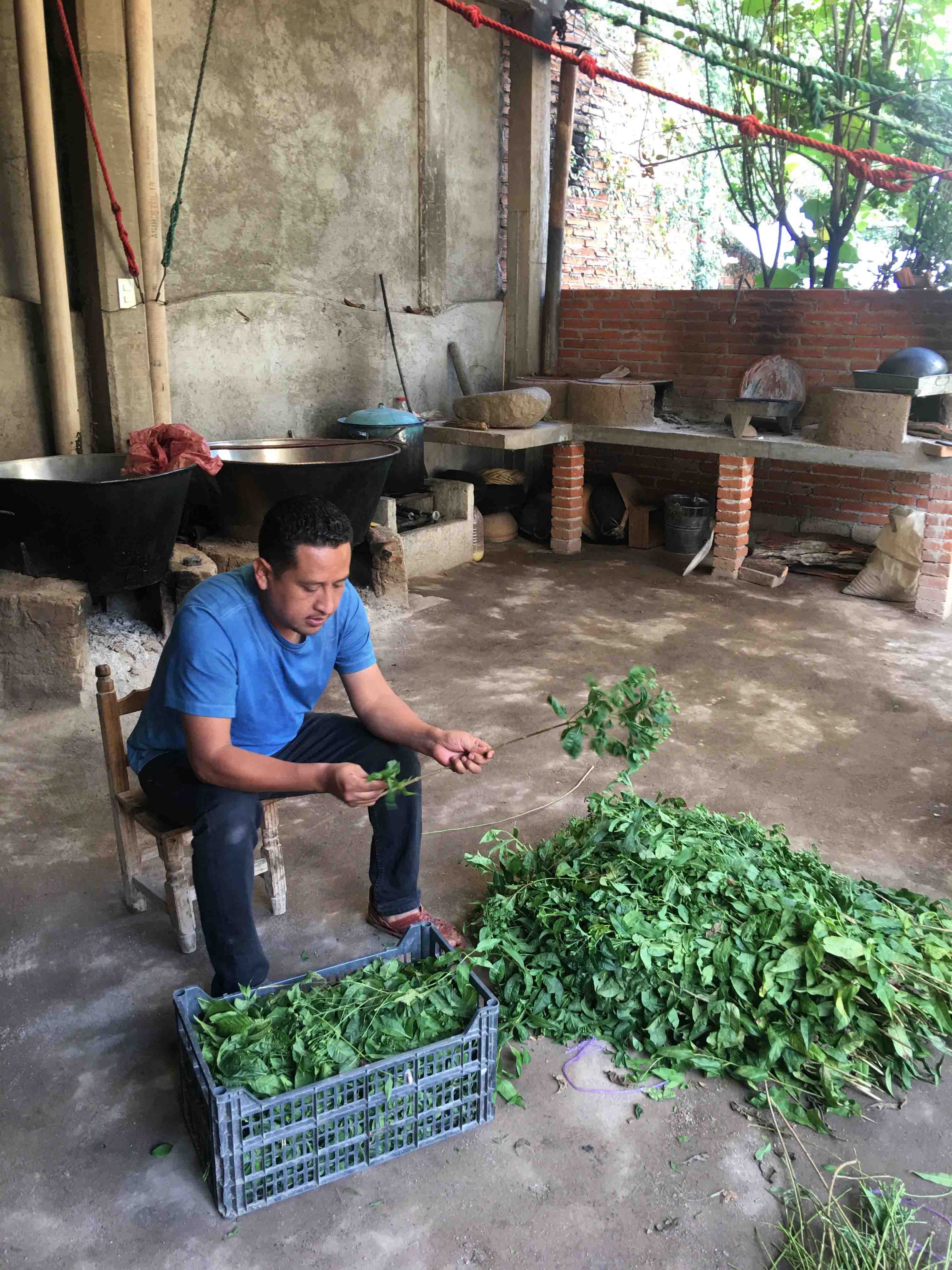 ¡Fiesta Latina! to showcase Zapotec textile artist among others