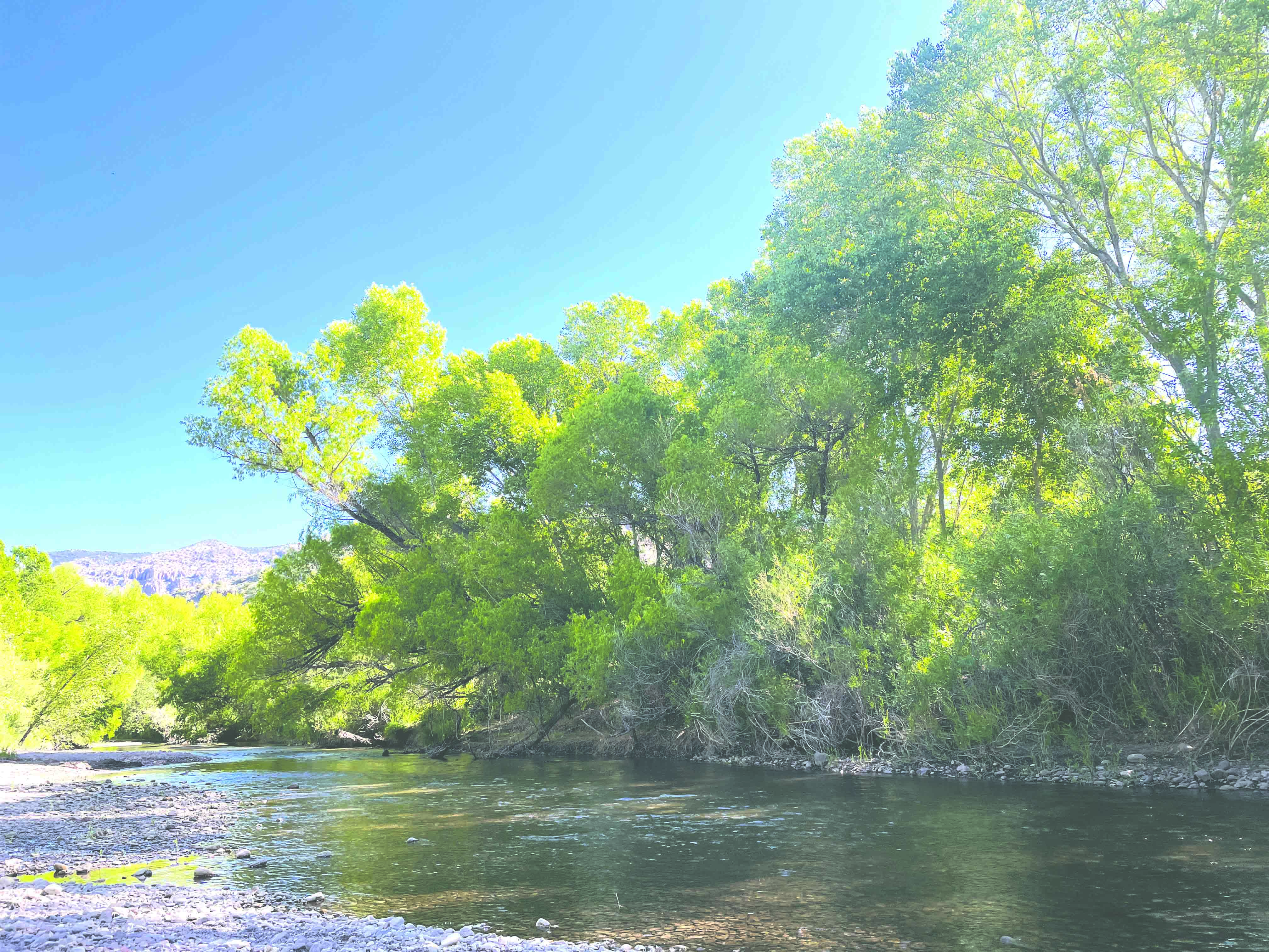 Longtime ecologist: Wilderness’ history includes both majestic, practical origins